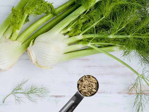 Fennel-properties-1-min (2)